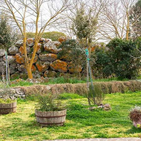 Sindia Agriturismo Nuragh'Elighe מראה חיצוני תמונה