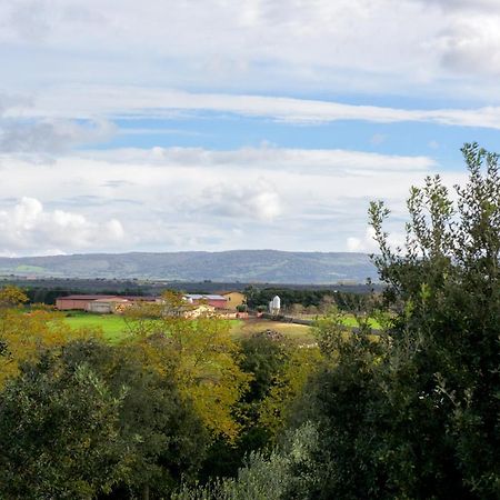 Sindia Agriturismo Nuragh'Elighe מראה חיצוני תמונה