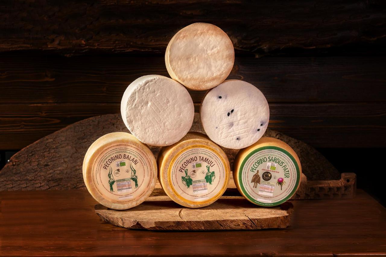 Sindia Agriturismo Nuragh'Elighe מראה חיצוני תמונה