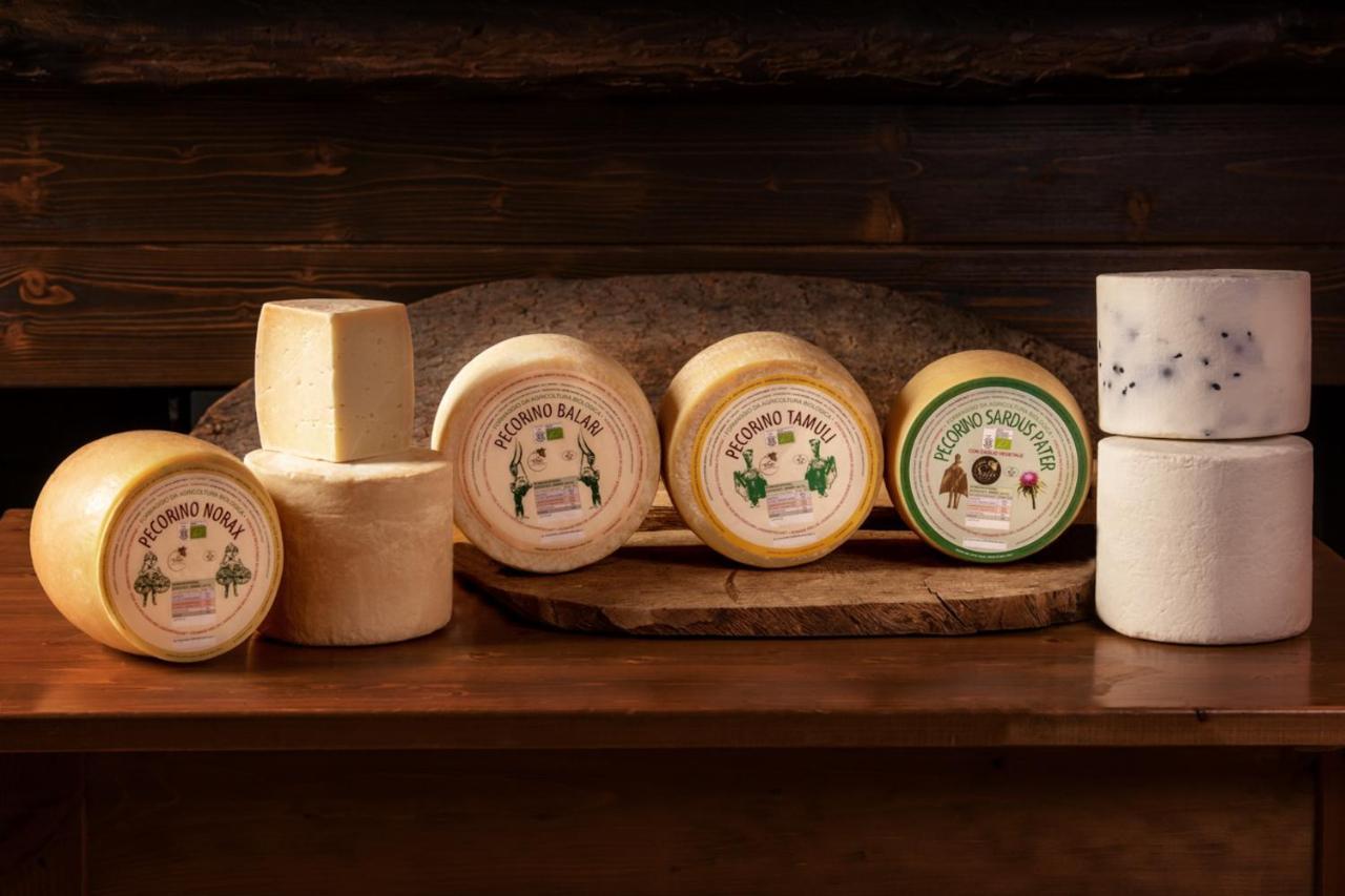 Sindia Agriturismo Nuragh'Elighe מראה חיצוני תמונה