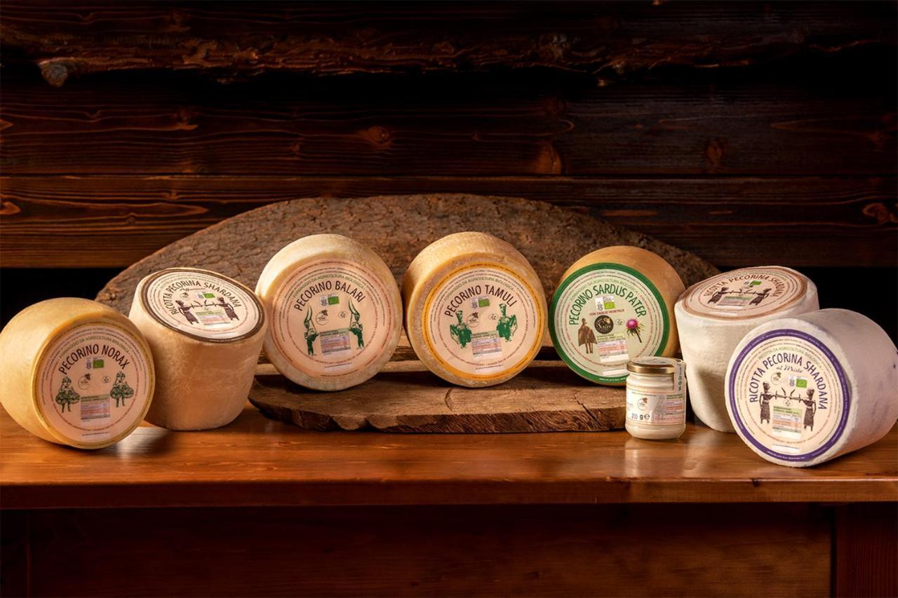 Sindia Agriturismo Nuragh'Elighe מראה חיצוני תמונה