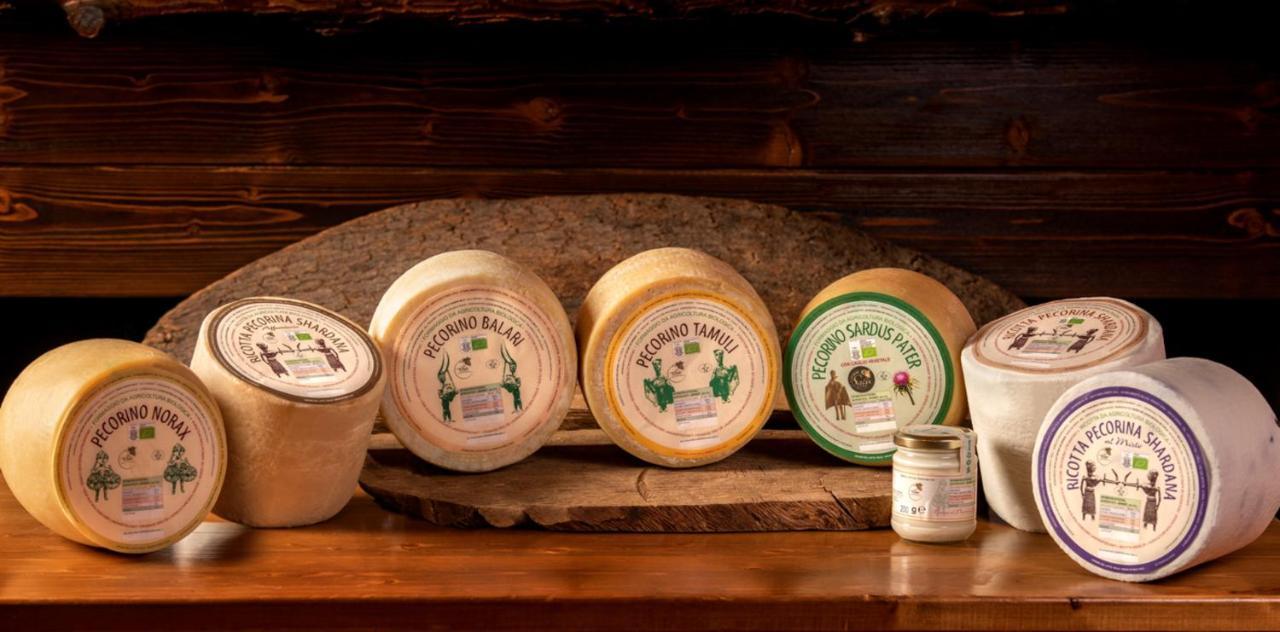 Sindia Agriturismo Nuragh'Elighe מראה חיצוני תמונה