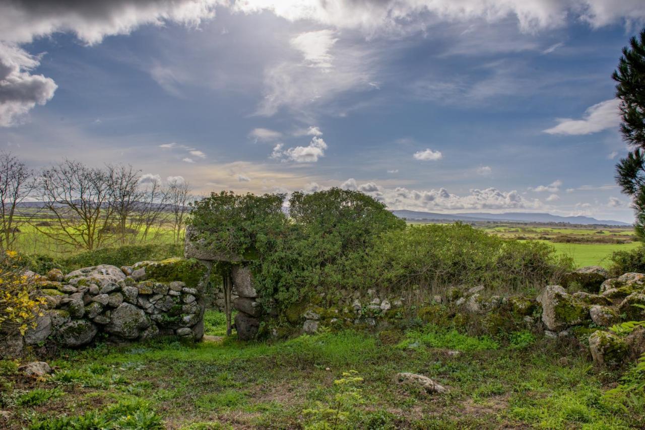 Sindia Agriturismo Nuragh'Elighe מראה חיצוני תמונה
