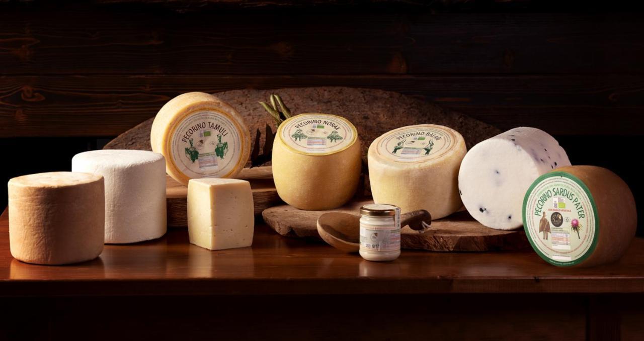Sindia Agriturismo Nuragh'Elighe מראה חיצוני תמונה