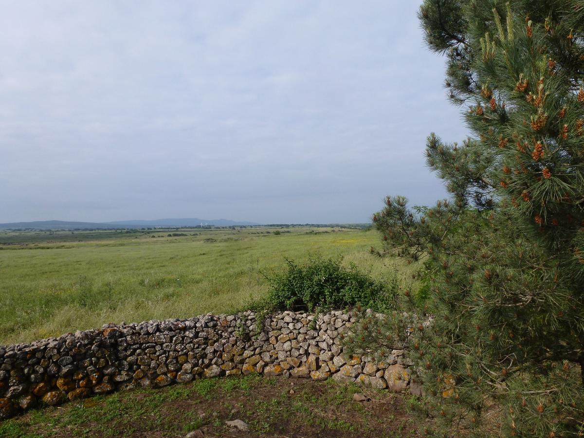 Sindia Agriturismo Nuragh'Elighe מראה חיצוני תמונה
