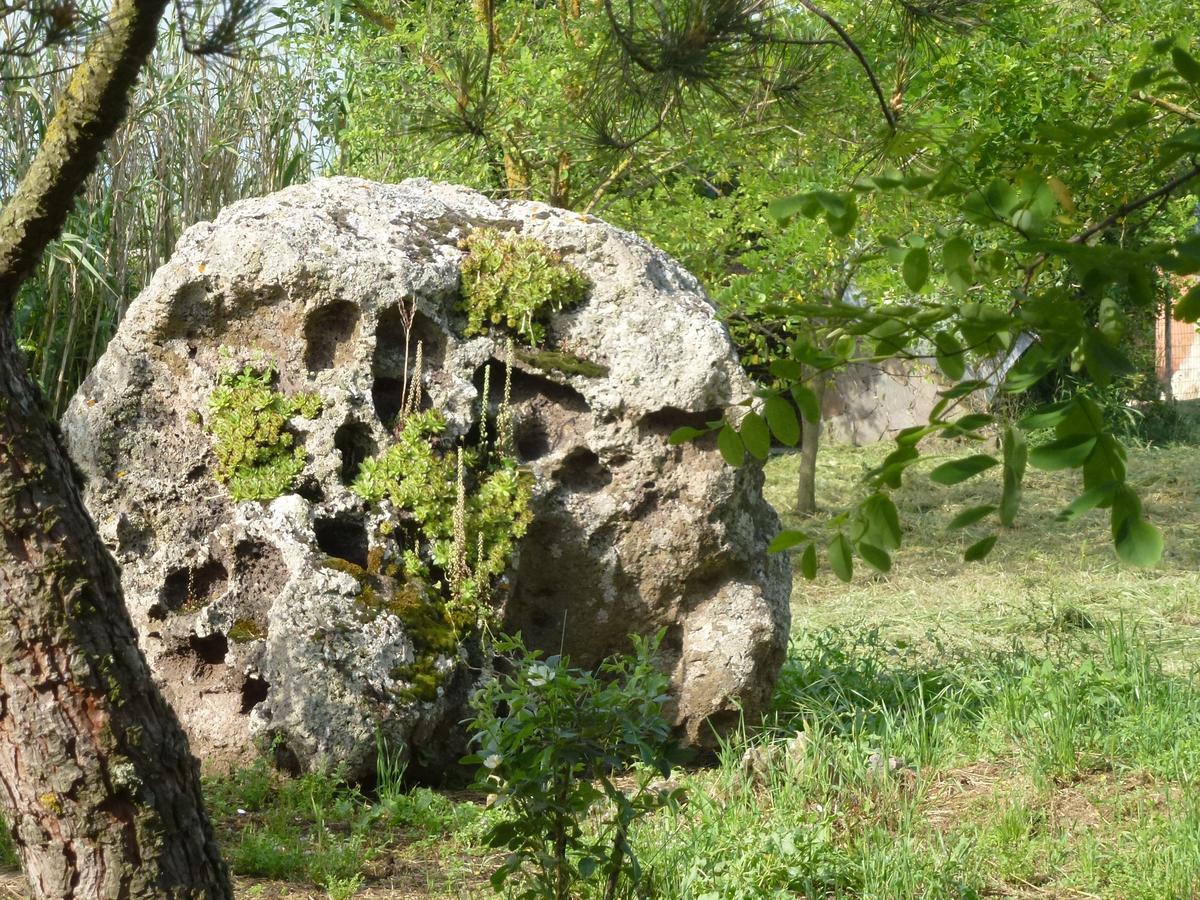 Sindia Agriturismo Nuragh'Elighe מראה חיצוני תמונה