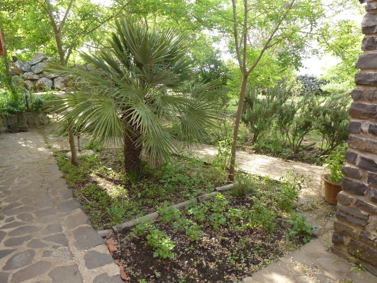 Sindia Agriturismo Nuragh'Elighe מראה חיצוני תמונה
