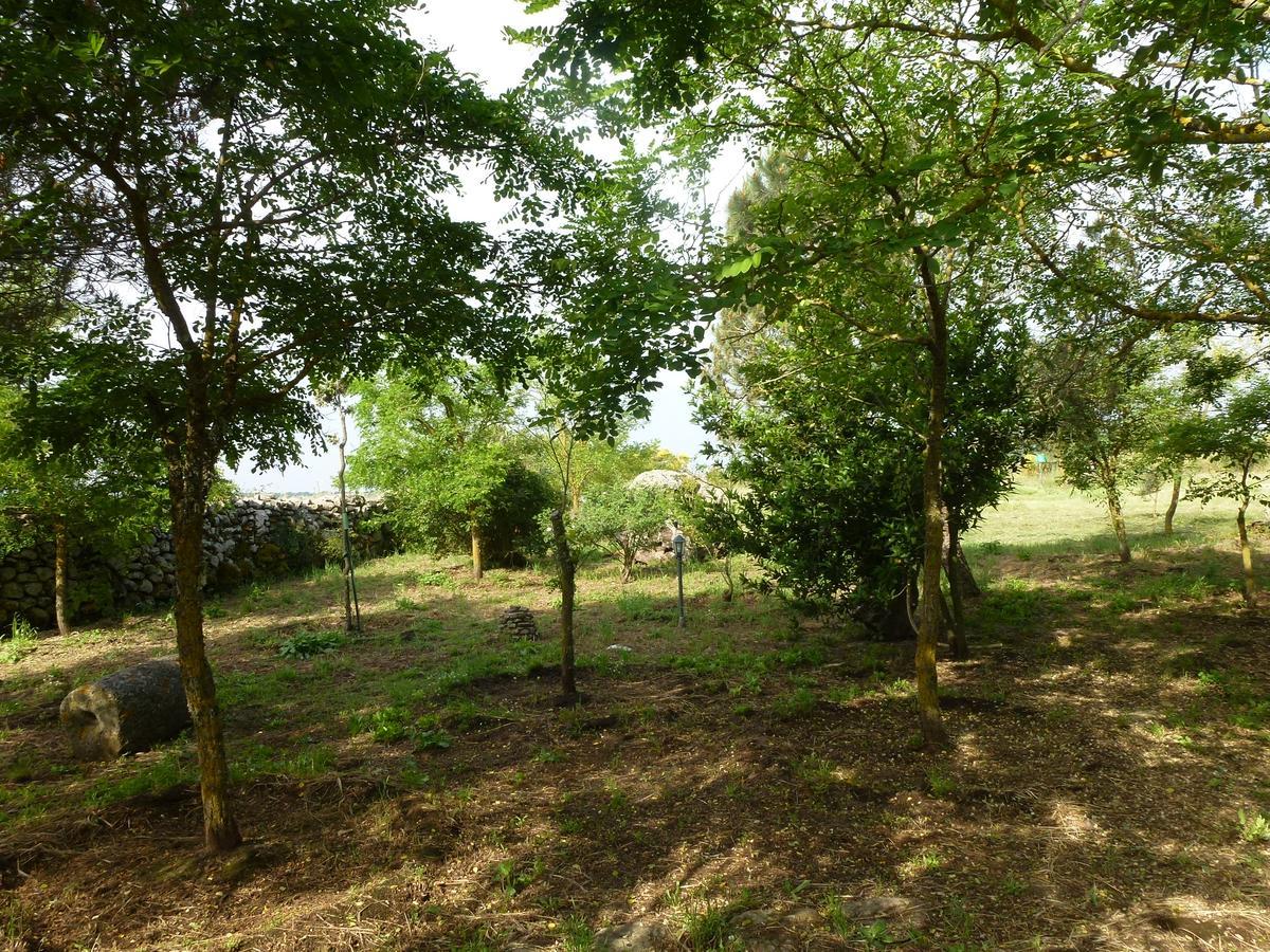 Sindia Agriturismo Nuragh'Elighe מראה חיצוני תמונה