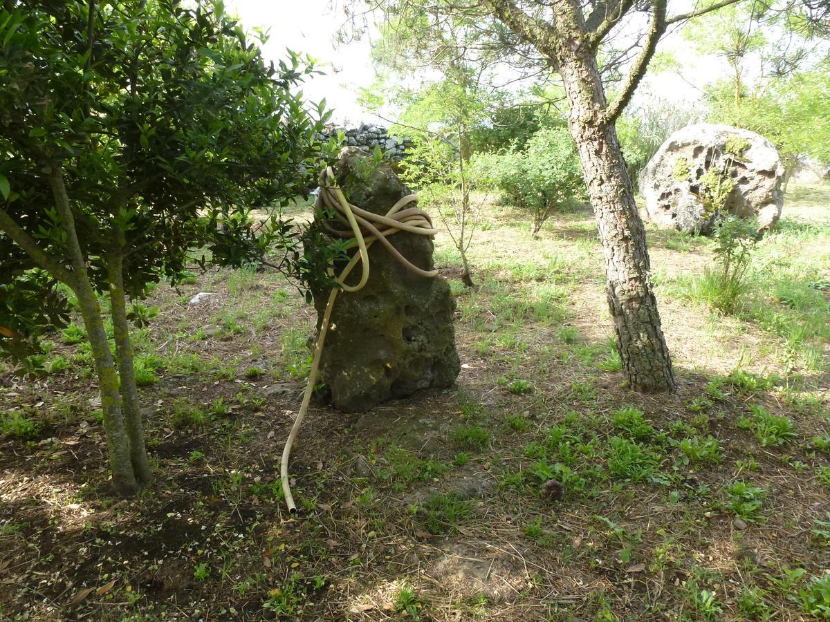 Sindia Agriturismo Nuragh'Elighe מראה חיצוני תמונה