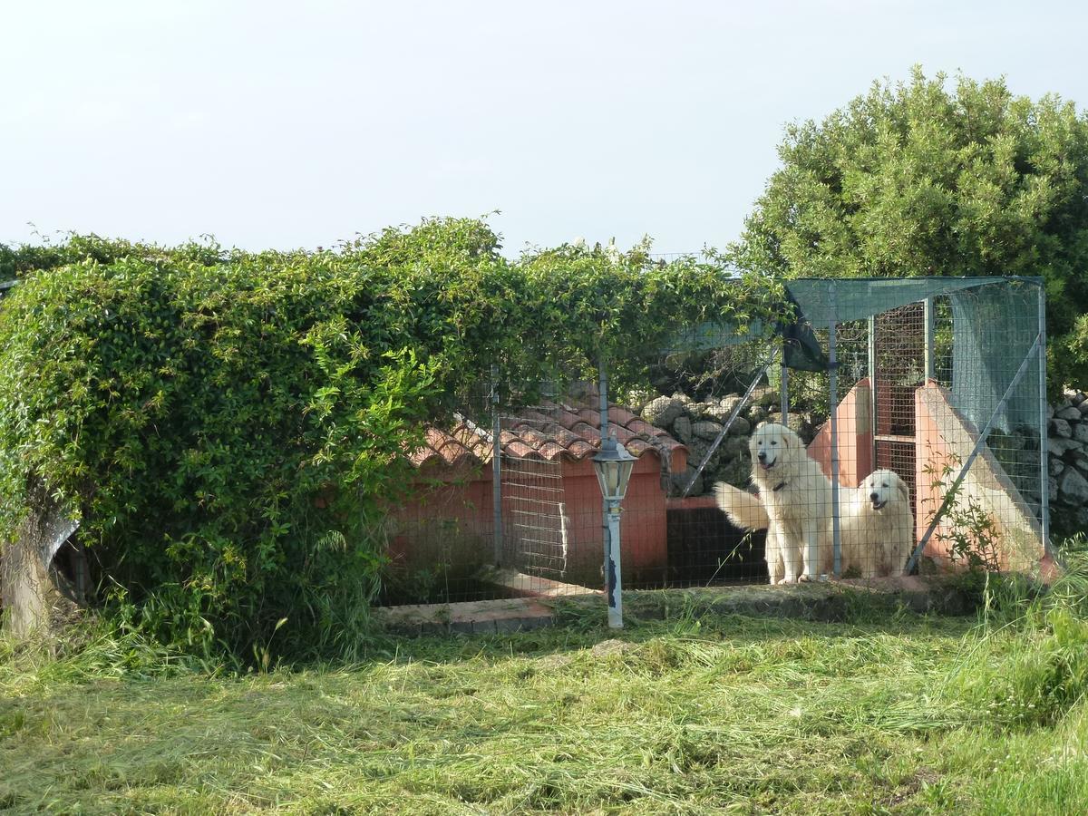 Sindia Agriturismo Nuragh'Elighe מראה חיצוני תמונה