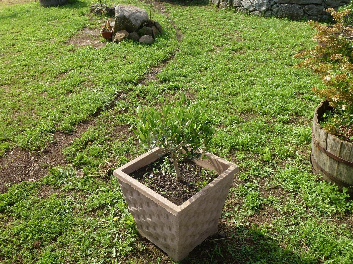Sindia Agriturismo Nuragh'Elighe מראה חיצוני תמונה