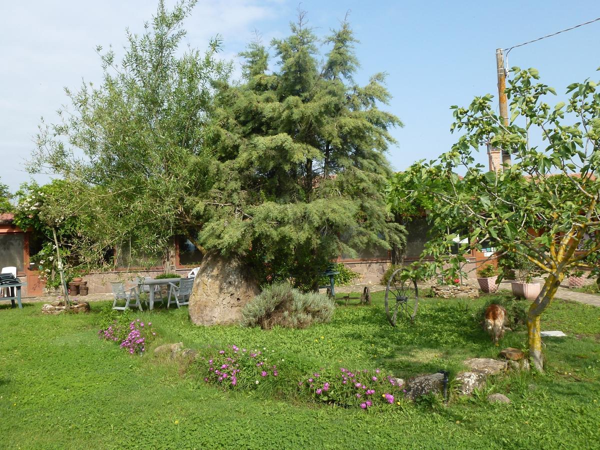 Sindia Agriturismo Nuragh'Elighe מראה חיצוני תמונה